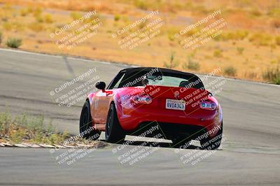 media/Sep-25-2024-Open Track Racing (Wed) [[e97609b8b7]]/Blue Group/Session 2 (Turn 5)/